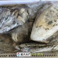 單凍墨魚/花枝/烏賊，干凍沒有泡水，產自福建東山島