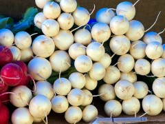 種植白蘿卜如何進行土肥管理,管理要點都有哪些?