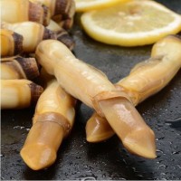 蟶子 貝類去殼海捕新鮮蟶王肉冷凍竹節蟶子海鮮批發200g順豐包郵