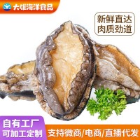 撈汁鮑魚鮮凍鮑魚批發(fā)鮑魚商用鮑魚肉商用帶殼活凍鮑魚批發(fā)撈汁