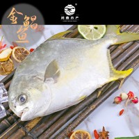 新鮮金鯧魚無冰鮮活速凍海捕二去金鯧魚特大號湛江金鯧魚海鮮批發