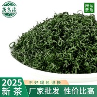 綠茶2025新茶濃香散裝茶葉袋裝產地批發(fā)耐泡明前茶